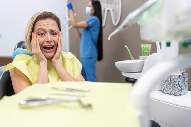 Best Emergency Dental Care for Broken or Chipped Teeth in Hawthorne, FL